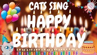 Cats Sing Happy Birthday Song  Cats Singing Song [upl. by Netty410]