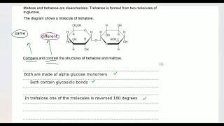 SNAB A Level Biology Carbohydrates [upl. by Mirelle]