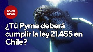 ¿Tienes una Pyme Deberás cumplir ahora la ley 21455 [upl. by Emmerich623]