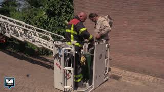 Brandweer helpt met verwijderen bijennest [upl. by Eras]