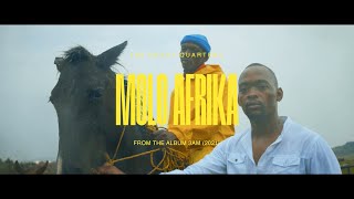 The Heavy Quarterz  Molo Afrika Official Music Video [upl. by Aneehsar]