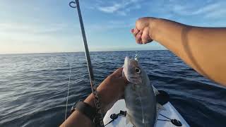 light jigging panglao bohol 4 strike 4 landed 🐟 [upl. by Spence]