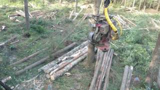 Eco log 560D final felling spruce [upl. by Eninnaej320]