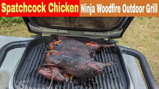 Whole Chicken Spatchcock Ninja Woodfire Outdoor Grill Recipe [upl. by Hcirdeirf925]