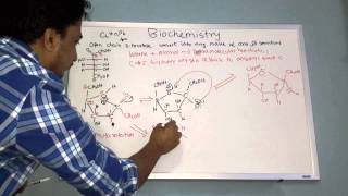 Alpha and beta structure of Dfructose [upl. by Reham]