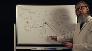 The Unintelligible Professors Lecture  ASMR [upl. by Eibbed]