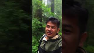 Beautiful Ilam maipokhari view  ilam  Nepal viralfunny ilamvlog vairalvideo viralshorts [upl. by Senoj]