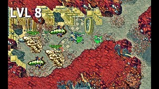 Tibia  Where to hunt low level Knight 2020  Larva amp Mummy Cave  Darashia  Ankrahmun [upl. by Hernardo]