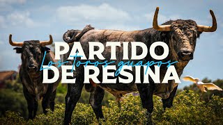 GANADERIA PARTIDO DE RESINA  Los toros guapos [upl. by Kcirrag190]