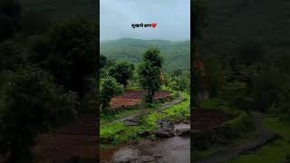 सुखाचे क्षण ❤️ kokan nature shorts shortsfeed youtubeshorts [upl. by Eidur431]