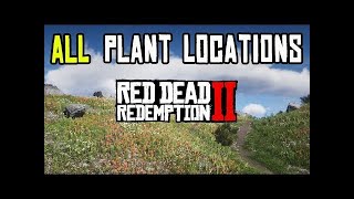 RED DEAD REDEMPTION 2 RDR2  finding all 43 herbs in one easy route 13 spots [upl. by Knah]