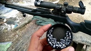 LONG RANGE 14 GR SLUG BIG HOLLO GREYHOUND TREX🔥 [upl. by Nohsreg52]