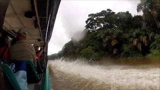 Tortuguero National Park [upl. by Ardnassak]