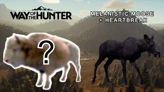 Melanistic Moose  Heartbreak  Way Of The Hunter [upl. by Kettie]