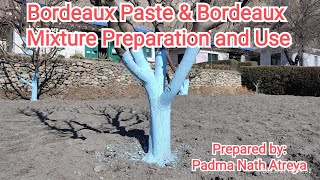 Bordeaux paste amp Bordeaux mixture preparation and useबोर्डो पेष्ट र बोर्डो मिश्रण तयारी तथा प्रयोग [upl. by Kelleher]