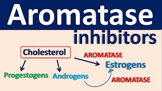 Aromatase inhibitors [upl. by Atrim556]