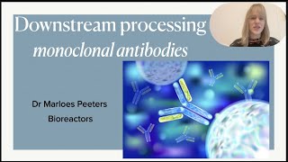 Case study  downstream processing of monoclonal antibodies produced in bioreactors [upl. by Nerval]