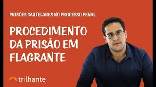 Aula 16  Medidas Cautelares  Prisões Processuais [upl. by Haukom]