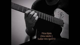 Ptica Bijela Guitar intro Igor013 [upl. by Cirda]