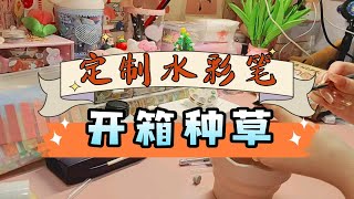 【定制水彩笔开箱】国货水彩笔品牌的故事 [upl. by Raphael]