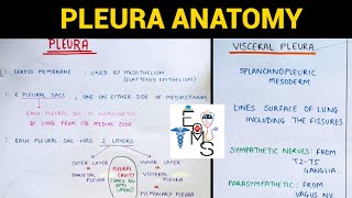 Pleura Anatomy 15  Thorax Anatomy [upl. by Chapel850]