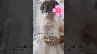 mariagealgerien mariaged اعراسجزائرية mariagemarocain [upl. by Leahcym]