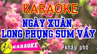 Ngày Xuân Long Phụng Sum Vầy Karaoke  Beat Chuẩn [upl. by Elladine188]