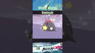 SHINY ALPHA SWINUB shorts shinypokemonhunter pokemonlegendsarceus shinypokemon pokemon [upl. by Mikaela]