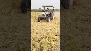 Paddy Straw Cutter [upl. by Ecinrev]