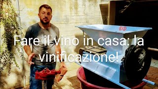 Come fare il vino bianco fermo in casa ep 2 la vinificazione [upl. by Anas219]