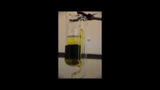 Soxhlet Extraction of Algae Oil [upl. by Barth238]