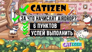 CATIZEN  За что НАЧИСЛЯТ AIRDROP Все УСЛОВИЯ CATI [upl. by Stroud876]