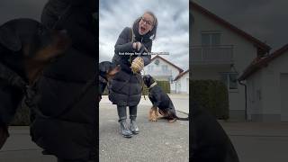 Urlaub mit Hund youtubeshorts [upl. by Hernardo]