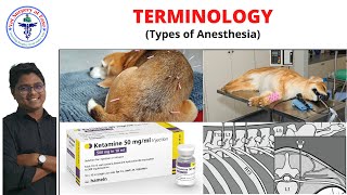 Types of Anesthesia  Anesthesiology  Lecture 01 [upl. by Chesney]