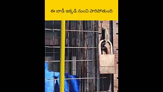 E bird andharni kapaduthundhi facts telugu amazingfacts [upl. by Derrick971]