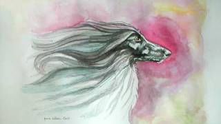 AFGHAN HOUND ART  Lynne Watson [upl. by Weibel156]