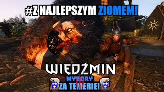 🔴 WIEDŹMIN 3 Wybory ZA TEMERIE ⚜️  TEMERSKI GRYF SZPIEGUJE NILFGAARDCZYKÓW 🐔 [upl. by Drucill]