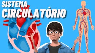 Sistema Circulatório ou Cardiovascular  Animação [upl. by Vida]