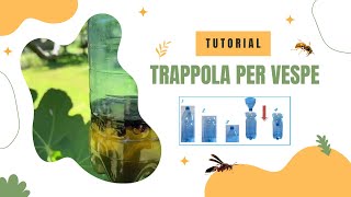 TRAPPOLA PER VESPE [upl. by Airdnua]