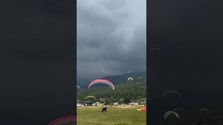 Paragliding bir billing [upl. by Naahsar]