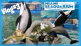 Miami SeaQuarium  Recorrido por el Acuario 🐬 Vale la Pena 🐙Vlog 3 [upl. by Asseral]