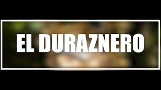 El Duraznero  Alejo Camelo Lyric Video [upl. by Anairo]