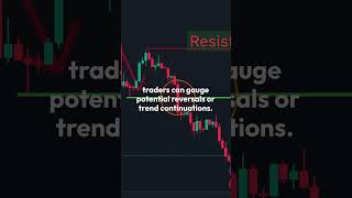 “Price Action Trading Basics Master Market Trends without Indicators [upl. by Nellda]