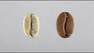 VOICI comment utiliser deux graines de café pour soigner le diabète et aussi☕ [upl. by Yenruoj]