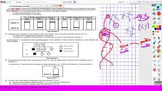 Génétique humaine bac sciences bac math  افتتاح عرض الحصص المباشرة للثلاثي الثاني ❤️ [upl. by Huda325]