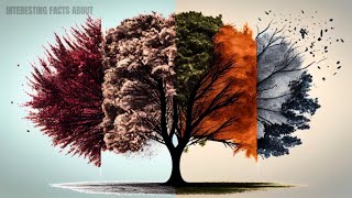 WHAT DO YOU KNOW ABOUT THE SEASONS [upl. by Gamin933]