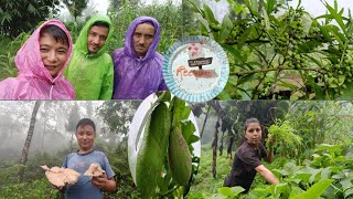 Aju Bhai Ko Ma Khatala GakoOrganic Munta wow Rural life in Village vlog [upl. by Htiekal795]