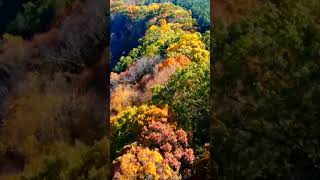 Fall Tour Mohican State Gorge Overlook Trail autumn fall nature drone [upl. by Yaakov696]