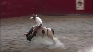 Charrería equestrian tradition in Mexico [upl. by Frasquito352]