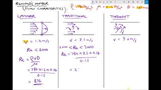 Using Reynolds Number to Determine Flow Characteristics [upl. by Acimad856]